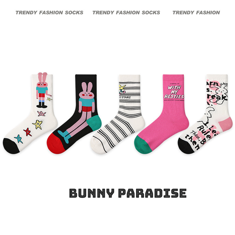 Women Socks 5 Pairs Bundle Cute Cartoon Bunny Rabbits Hosiery Spring Collection