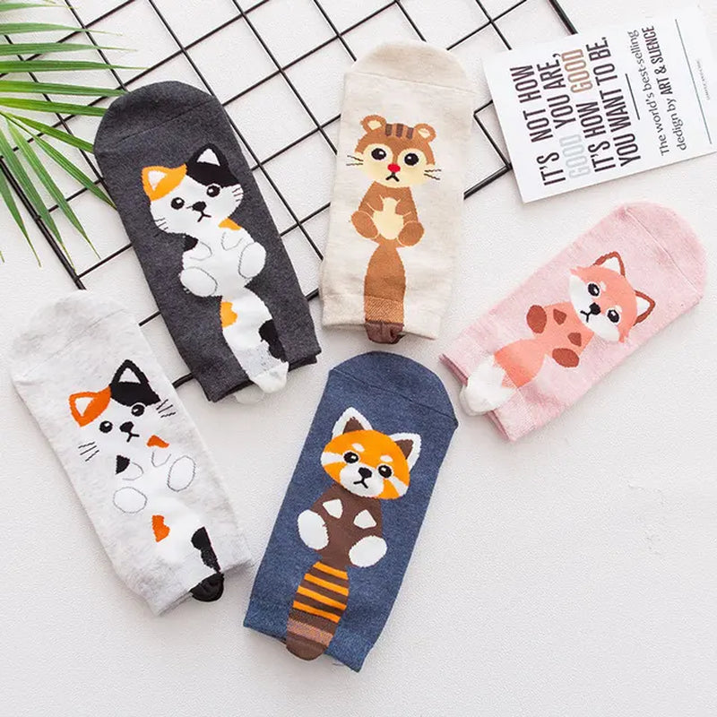 5Pairs/Lot New Fashion Cartoon Women Socks Korea Cat Socks Colorful Socks Casual Cotton Harajuku Happy Socks for Christmas